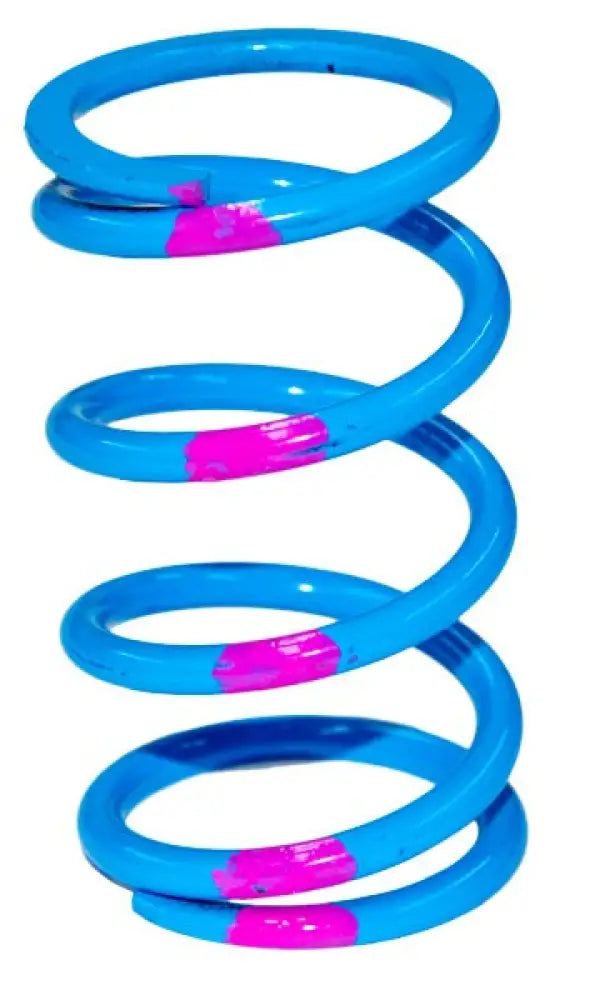 SLP High Performance Primary Drive Blue Pink Clutch Spring (140