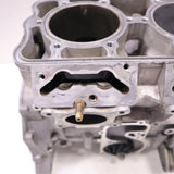 USED 2015-2019 Polaris Axys 800 Engine Short Block - SB22037178, 2207336