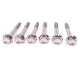 BWC Polaris P85 Titanium Clutch Cover Bolts (6pc)