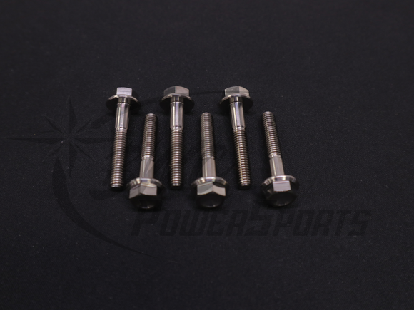 Polaris P-22 Titanium Clutch Cover Bolts (6)