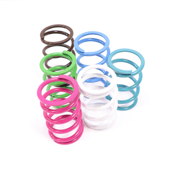 BIKEMAN Primary Drive Clutch Springs