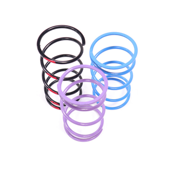 BIKEMAN Secondary Driven Clutch Springs