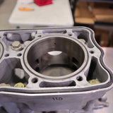 Rebuilt 2015-2019 Polaris Axys 800 Engine Short Block - SB22037178, 2207336