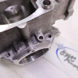 Repaired 2018-2020 Polaris AXYS 800cc Engine Crankcase 800 - 2207329