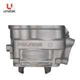 RENIKASIL Top End Kit 2013-2015 Polaris 800 Cylinder Monoblock, Pistons, Gaskets - 3022449
