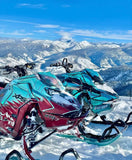 BSB Fab Skidoo Gen 5 / Lynx Shredder Assassin HD Front Bumper - NSP Aftermarket Parts