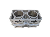 RENIKASIL 2008-2009 Polaris IQ Chassis 800 Cylinder Monoblock - 3021843 Engine