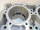 RENIKASIL 2008-2009 Polaris IQ Chassis 800 Cylinder Monoblock - 3021843 Engine
