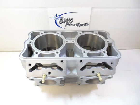 RENIKASIL 2015 Polaris Axys 800 Cylinder Monoblock - 3022554 Engine