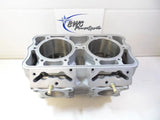 RENIKASIL 2015 Polaris Axys 800 Cylinder Monoblock - 3022554 Engine
