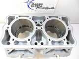 RENIKASIL 2015 Polaris Axys 800 Cylinder Monoblock - 3022554 Engine
