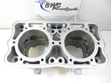 RENIKASIL 2015 Polaris Axys 800 Cylinder Monoblock - 3022554 Engine
