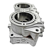 RENIKASIL 2019 + Polaris Patriot 850 Cylinder Monoblock - 3023433 Engine