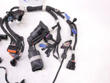 USED 2016-2017 Polaris AXYS 800 Main Wiring Harness (Complete) - 2412446 Electrical