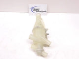 USED 2019-2020 Polaris PRO-RMK 850 Coolant Bottle - 1241176 Cooling