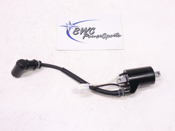 NEW Take off 2015-2023 Polaris AXYS 600 800 Ignition Coil (MAG) - 4014515